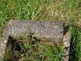 image of grave number 954128